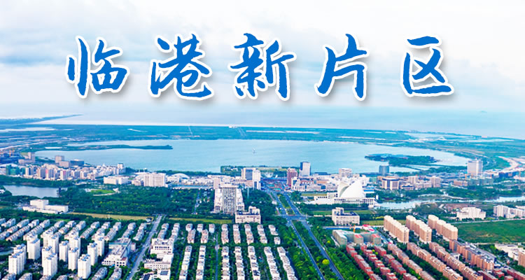 注册上海临港自贸区公司需要哪些资料和流程